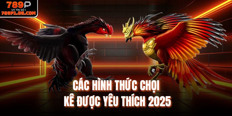 Các hình thức chọi kê được yêu thích 2025